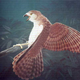 Illustration for article titled Ten extinct animals that have been rediscovered